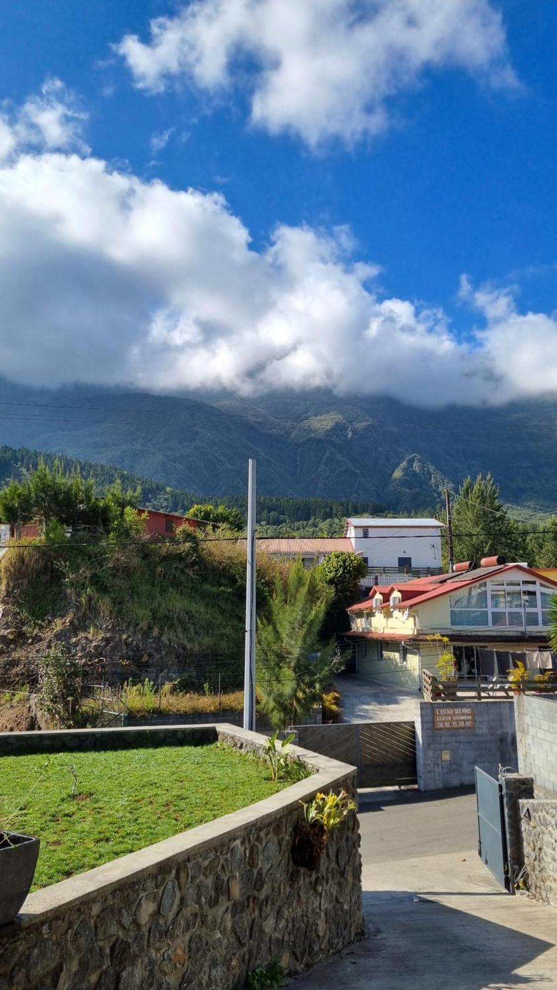 Villa Des Pins By Kaz'Ida Cilaos Buitenkant foto